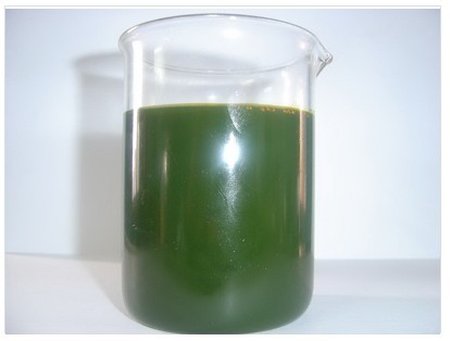 �������z��